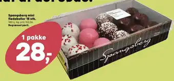 SuperBrugsen Spangsberg flødeboller mini tilbud
