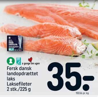 REMA 1000 Rema 1000 laksefilet tilbud