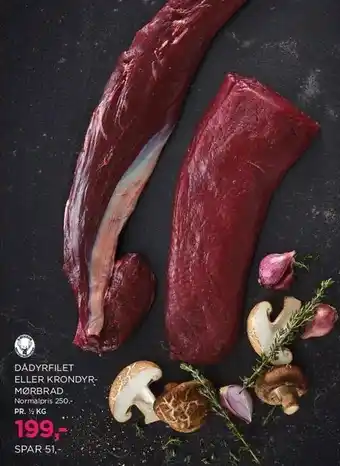 Dådyrfilet el. krondymørbrad