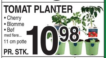 ABC Lavpris Tomat planter tilbud