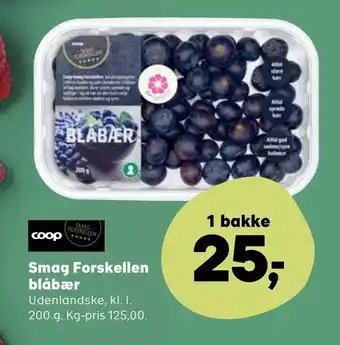 Kvickly Smag Forskellen blåbær tilbud
