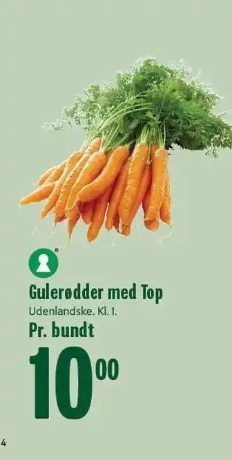 Gulerødder med top