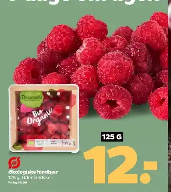 Netto Økologiske Hindbær 125 g tilbud