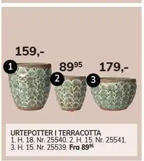Urtepotter i terracotta