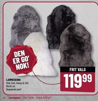 Lammeskind