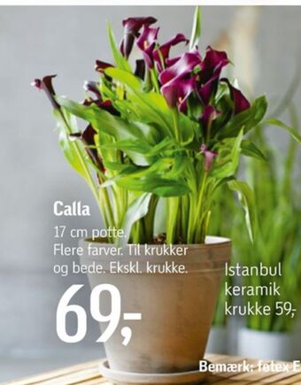 Føtex Føtex planter tilbud