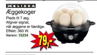 Æggekoger