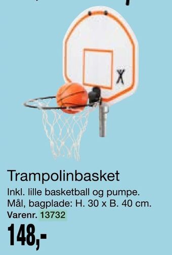 Harald Nyborg Trampolinbasket tilbud