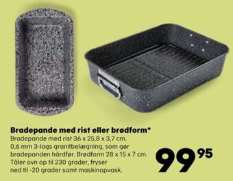 Holm bradepande