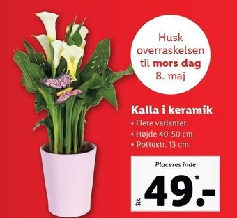 Lidl Kalla i keramik tilbud