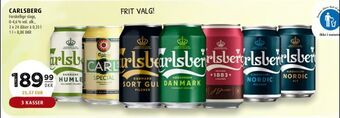Scandinavian Park Carlsberg tilbud
