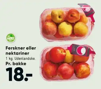 Bilka Ferskner eller nektariner tilbud