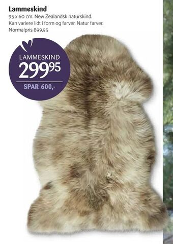 Kop & Kande Lammeskind tilbud