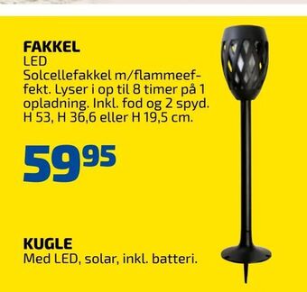 Davidsen Fakkel tilbud