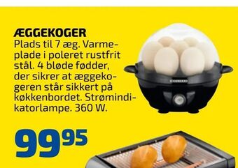 Æggekoger