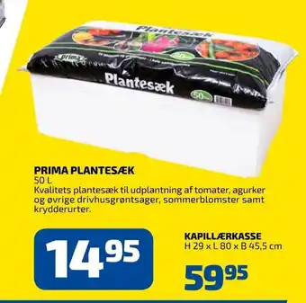 Kapillærkasse