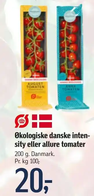 Føtex Økologiske danske inten sity eller allure tomater tilbud