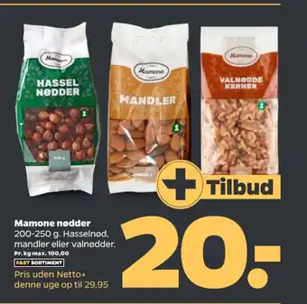 Netto Mamone hasselnødder tilbud