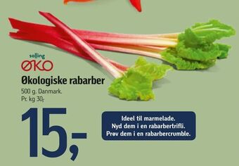Føtex Økologiske rabarber tilbud