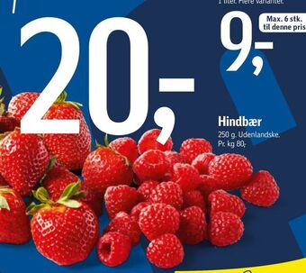 Føtex Hindbær tilbud