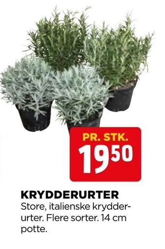 jem & fix Krydderurter tilbud
