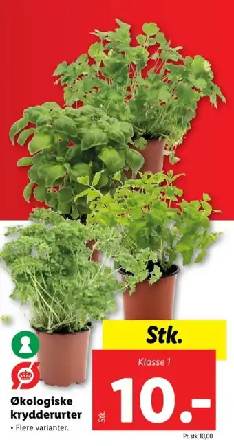 Änglamark krydderurter