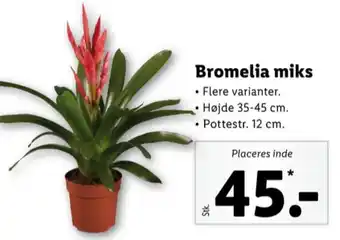 Lidl Alpenfest planter tilbud