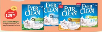 Maxi Zoo Ever Clean kattegrus tilbud