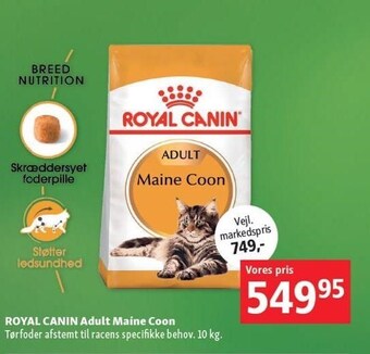 Maxi Zoo Royal Canin adult maine coon tilbud