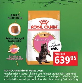 Maxi Zoo Royal Canin kitten maine coon tilbud