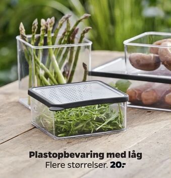 Netto Plastopbevaring med låg tilbud
