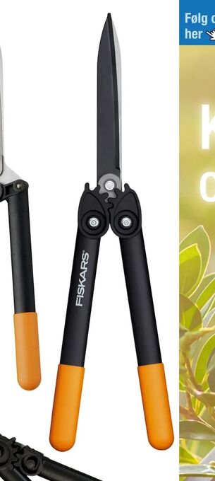 Harald Nyborg Hækkesaks tilbud