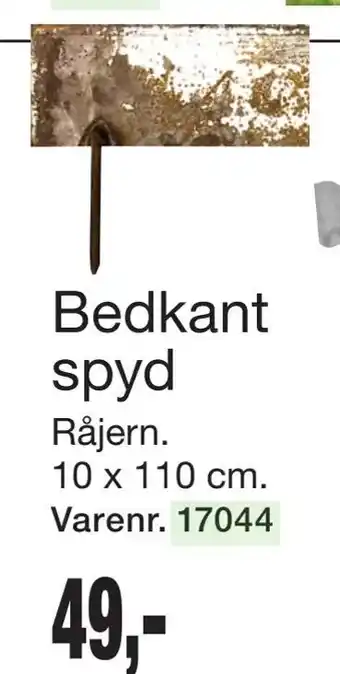 Bedkant spyd