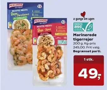 Marinerede tigerrejer