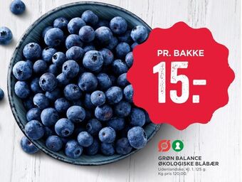 Grøn balance økologiske blåbær