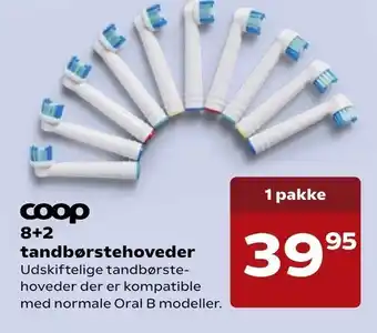 8+2 tandbørstehoveder