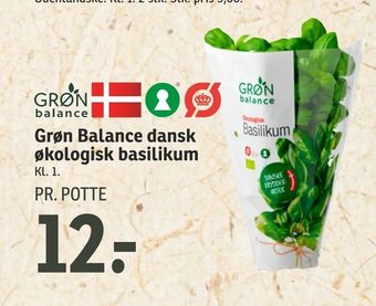 SPAR Grøn Balance dansk økologisk basilikum tilbud