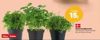 Kvickly Store krydderurter tilbud