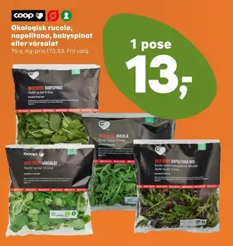 SuperBrugsen Økologisk rucola, napolitana, babyspinat eller vårsalat tilbud