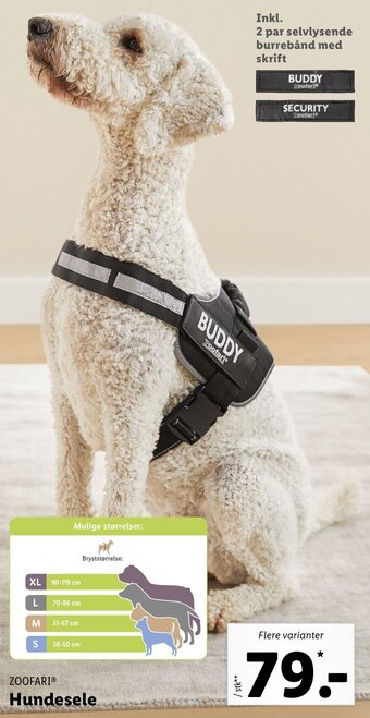 Lidl Hundesele tilbud