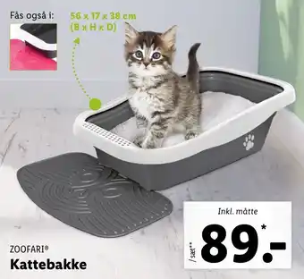 Kattebakke