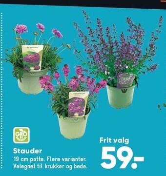 Bilka Stauder tilbud