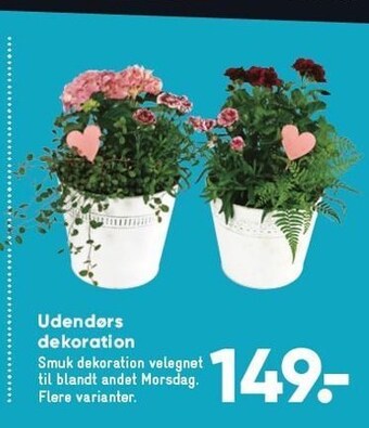 Bilka Udendørs dekoration tilbud