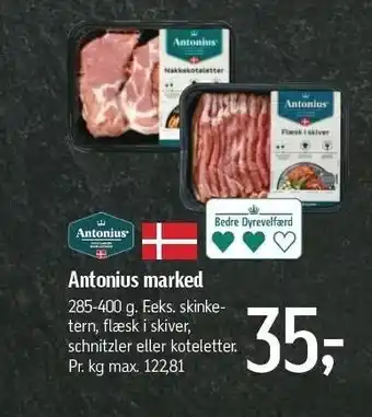 Antonius marked