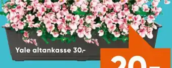 Yale altankasse