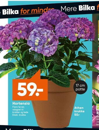 Bilka Hortensia tilbud