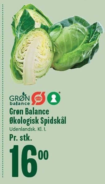 Min Købmand Grøn Balance økologisk spidskål tilbud