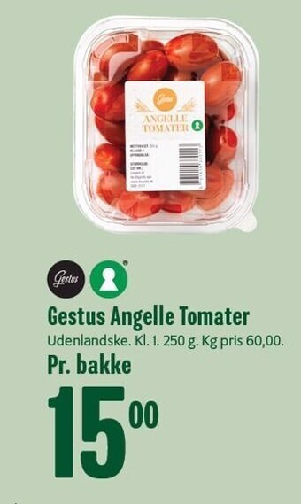 Gestus Angelle tomater