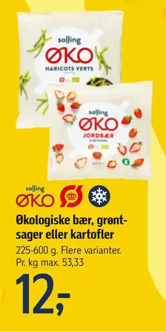 Føtex Økologiske bær, grønt sager eller kartofler tilbud