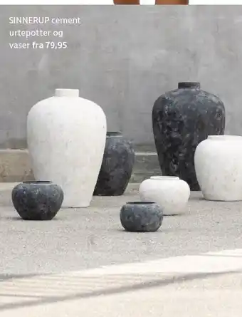 Cement urtepotter og vaser